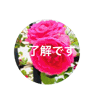 OKINAWAの景色やお花に癒されて（個別スタンプ：28）