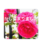 OKINAWAの景色やお花に癒されて（個別スタンプ：29）