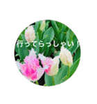 OKINAWAの景色やお花に癒されて（個別スタンプ：31）