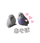 ミドリガメのみーちゃん（個別スタンプ：15）