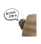 ミドリガメのみーちゃん（個別スタンプ：16）