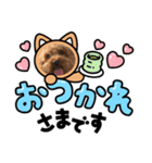 ギンギンギラギラ（個別スタンプ：7）