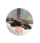 とぴまるすいさん（個別スタンプ：4）
