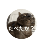 とぴまるすいさん（個別スタンプ：6）