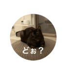 とぴまるすいさん（個別スタンプ：7）