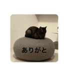 とぴまるすいさん（個別スタンプ：9）