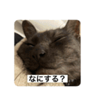 とぴまるすいさん（個別スタンプ：10）