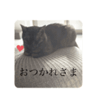 とぴまるすいさん（個別スタンプ：12）