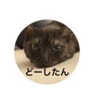 とぴまるすいさん（個別スタンプ：13）