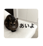 とぴまるすいさん（個別スタンプ：14）