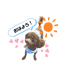 ひなももすたんぷ！（個別スタンプ：1）