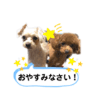 ひなももすたんぷ！（個別スタンプ：2）