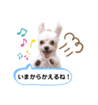 ひなももすたんぷ！（個別スタンプ：3）