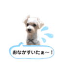 ひなももすたんぷ！（個別スタンプ：5）