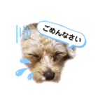 ひなももすたんぷ！（個別スタンプ：6）