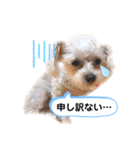 ひなももすたんぷ！（個別スタンプ：9）