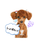 ひなももすたんぷ！（個別スタンプ：10）