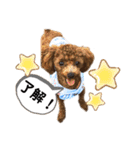 ひなももすたんぷ！（個別スタンプ：12）