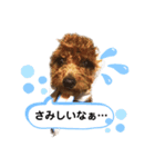 ひなももすたんぷ！（個別スタンプ：13）