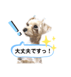 ひなももすたんぷ！（個別スタンプ：15）