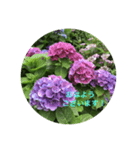 kinko＿写真7（個別スタンプ：3）
