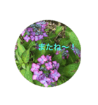 kinko＿写真7（個別スタンプ：8）