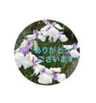 kinko＿写真7（個別スタンプ：14）
