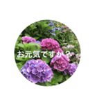 kinko＿写真7（個別スタンプ：16）