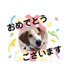 うしおの丁寧な日常会話スタンプ（個別スタンプ：2）
