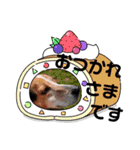 うしおの丁寧な日常会話スタンプ（個別スタンプ：3）