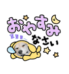コーギーのミミちゃん！！！（個別スタンプ：1）