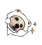 コーギーのミミちゃん！！！（個別スタンプ：3）