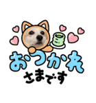 コーギーのミミちゃん！！！（個別スタンプ：17）