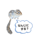 動物たち❤︎（個別スタンプ：5）