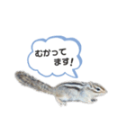 動物たち❤︎（個別スタンプ：6）