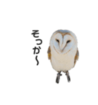 動物たち❤︎（個別スタンプ：11）