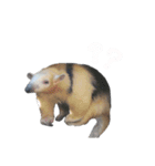 動物たち❤︎（個別スタンプ：14）