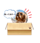 キャバ嬢✨りんスタンプ②（個別スタンプ：6）