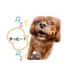 キャバ嬢✨りんスタンプ②（個別スタンプ：11）