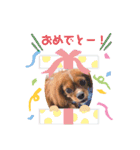キャバ嬢✨りんスタンプ②（個別スタンプ：14）