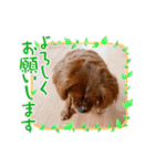 キャバ嬢✨りんスタンプ②（個別スタンプ：15）