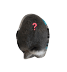 仔ウサギ bunny（個別スタンプ：20）