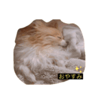 ふとっちょむぎ（個別スタンプ：2）
