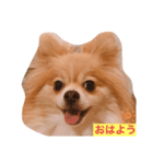 ふとっちょむぎ（個別スタンプ：6）