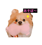 ふとっちょむぎ（個別スタンプ：7）