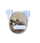 【チル】スタンプ（個別スタンプ：7）