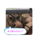 【チル】スタンプ（個別スタンプ：9）