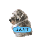 【チル】スタンプ（個別スタンプ：18）