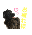 あおさんち！（個別スタンプ：7）