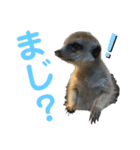 あおさんち！（個別スタンプ：10）